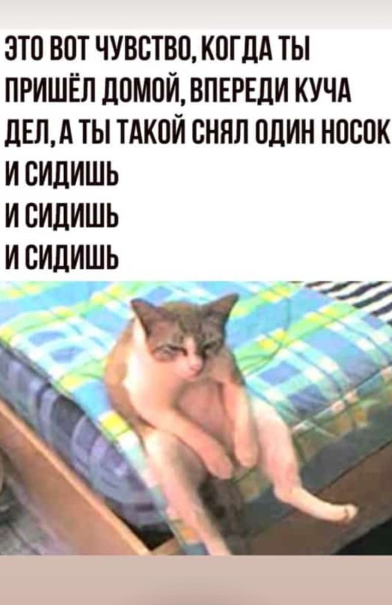 ЭТО ВПТ ЧУВСТВО КОГДА ТЫ ПРИШЁЛ ЛПМПИ ВПЕРЕДИ КУЧА дЕЛА ТЫ ТАКПИ СНЯЛ ОДИН НПСПК И СИДИШЬ И СИДИШЬ И СИДИШЬ Оё