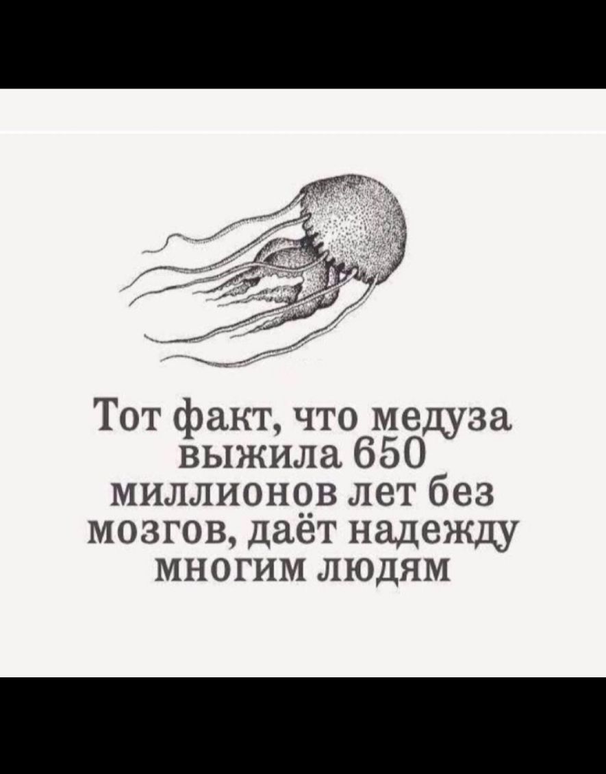 Дай мозгов. Медуза без мозгов. Тот факт что медуза выжила 650 миллионов. Тот факт что медуза. Медузы живут без мозгов.