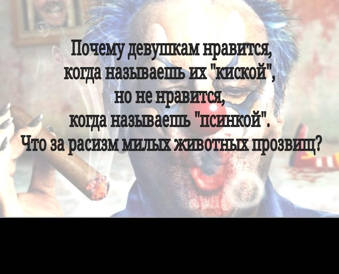 Почему девупщам нравится коща называешь их киской но не нравится коща называешь псшпсой Что за расизм ьшлых животных прозвищ
