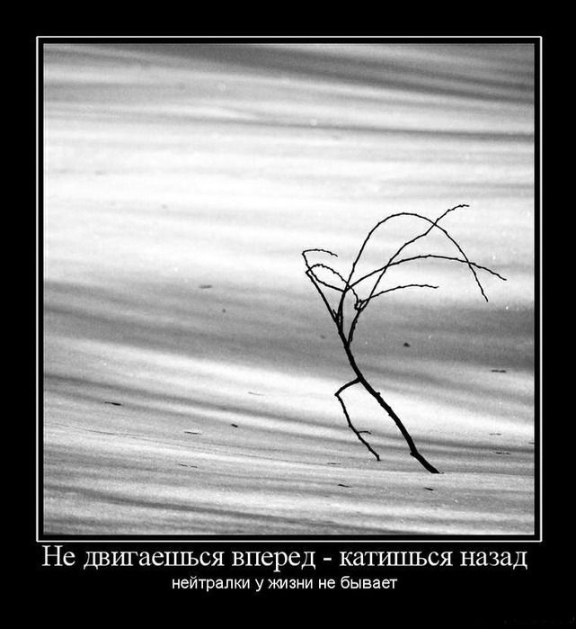 Не ДВШЗСЦЕЬСЯ вперед КЗТЩШЦэСЯ назад нейтрапки у жизни не бывает