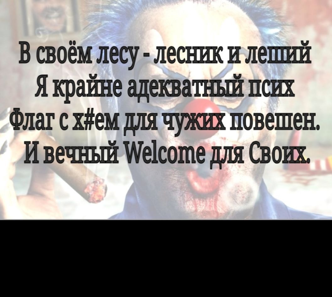 В своём лесу лесншс и леший Я краіше адекватный псих Флаг с хем для чужих повешен И вечньпі 1соше для Своих
