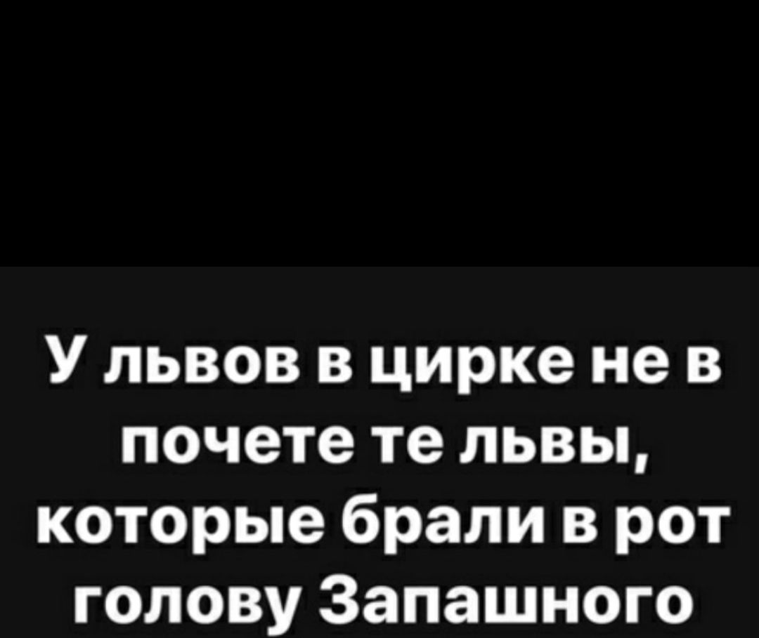 У львов в цирке не в почете те львы которые брали в рот голову Запашного