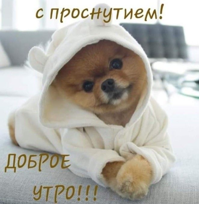 с проснутием