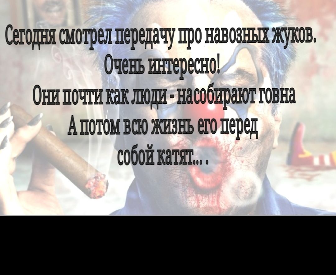 Сегодня смотрел передачу про навозных жуков Очеъь штгересно Они почти как шоди насобиршот говна Апотом всю жизнь его перед собой катят