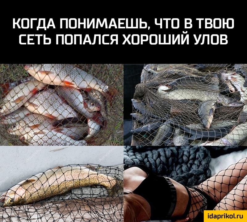 КОГДА ПОНИМАЕШЬ ЧТО _В ТВОЮ СЕТЬ ПОПАЛСЯ ХОРОШИИ УЛОВ