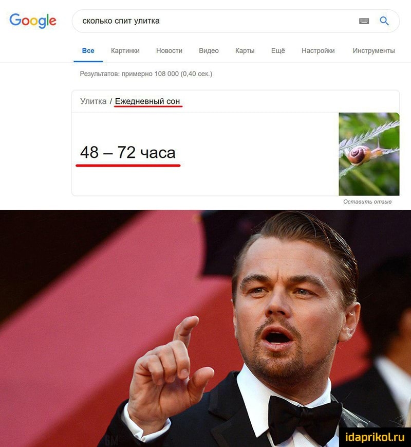 9 сколько спит улитка Все ты У Ежедневный сон 48 72 часа _ іпаргіЪшЬги