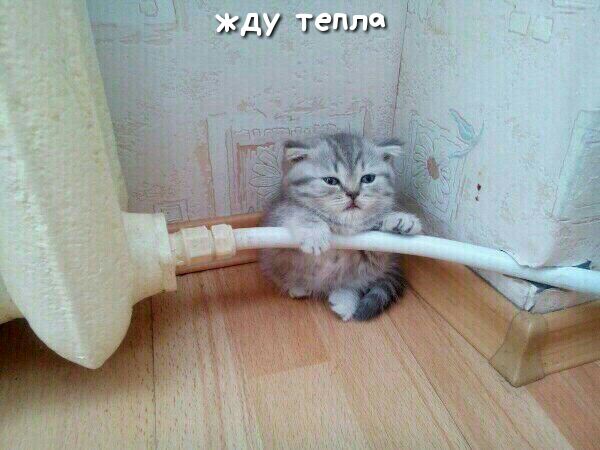 33157 гашиш