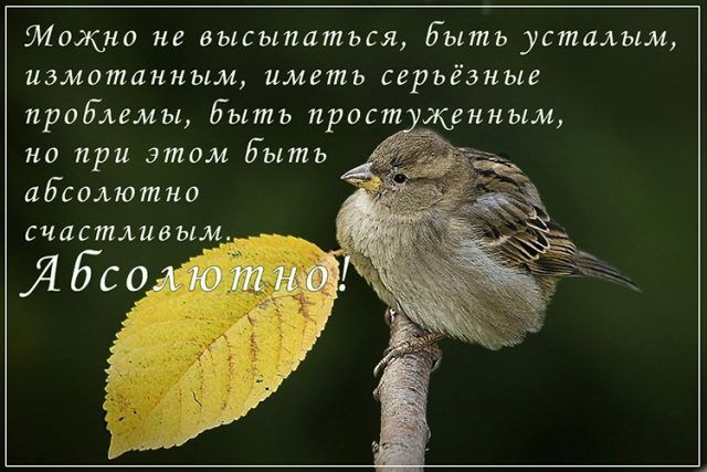 Можно не высыпаться Быть усталым измотанным иметь серьёзные прод леммы Быть прост кенным но при этом быть абсолютно счастливым Ябсо