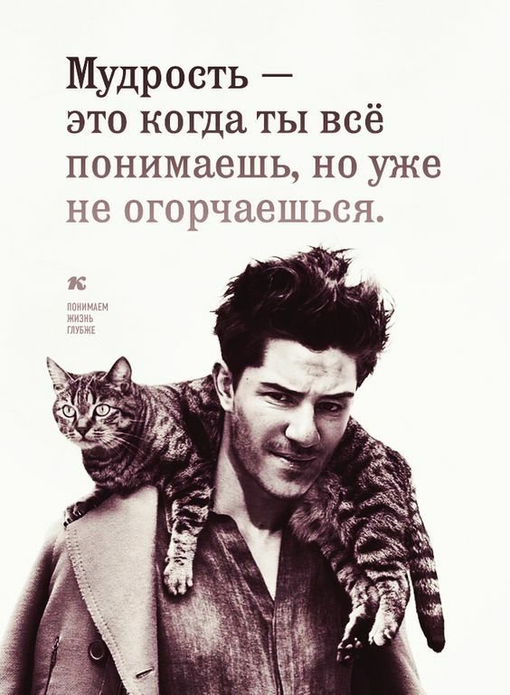 Мудрость это когда ты всё понимаешь но уже не огорчаешьса