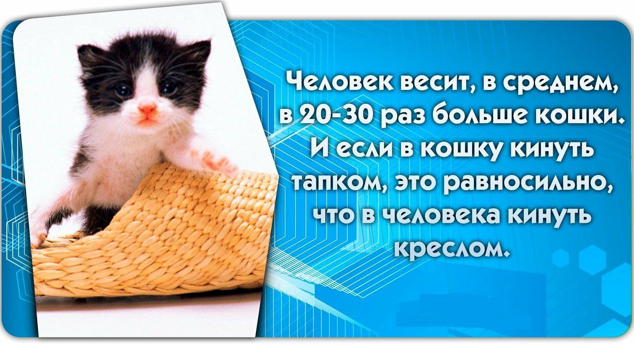 Жщёъам дшебщщашшш иждшэщэшзушшупэ 3 аъшткахз д дкігхгсгіжщ