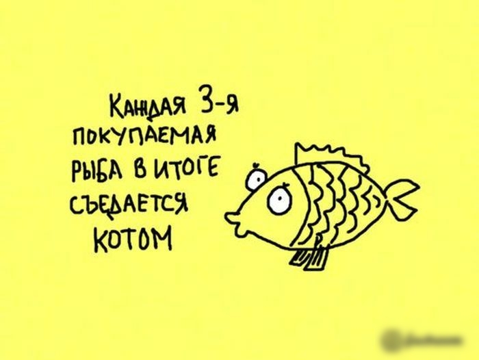 Я 39 ПоКМАЕМАЯ рывд итоГЕ ъцмвтся котом