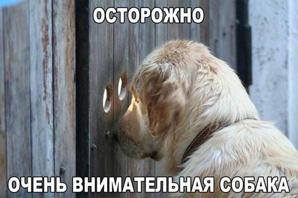 ОЁЮРОГЖНО
