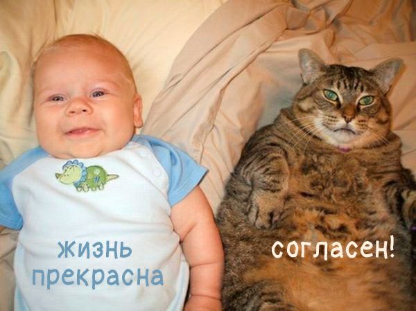 жизнь прекрасна