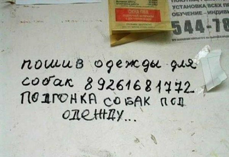 дошиВ 9еж99 шагас 89264684112 И падонка со БАК псп одежду