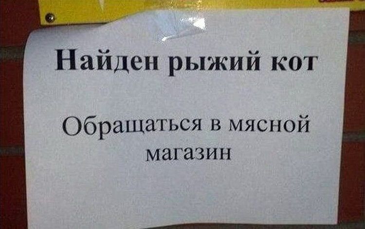 Найден рыжий кот Обращаться в мясной магазин