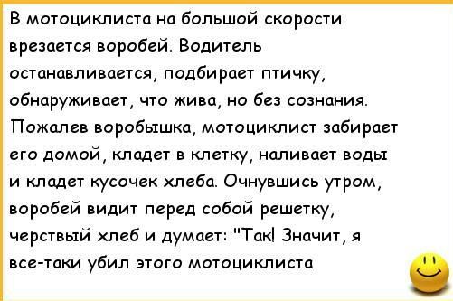 В мотоциклиста на большой скорости врезается воробей Водитель останавливается подбирает птичку обнаруживает что жива но без сознания Пожалев воробышка мотоциклист забирает его домой кладет в клетку наливает воды и кладет кусочек леба Очнувшись утром воробей видит перед собой решетщ черствый хлеб и думает Так Значит я все таки убил этого мотоциклиста