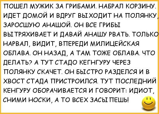 ПОШЕП МУЖИК ЗА ГРИБАМИ НАБРАЛ КОРЗИНУ ИДЕТ ДОМОЙ И ВДРУГ ВЫХОДИТ НА ПОЛЯНКУ ЗАРОСШУЮ АНАШОЙ ОН ВСЕ ГРИБЫ ВЫТРЯХИВАЕТ И ДАВАЙ АНАШУ РВАТЬ ТОЛЬКО НАРВАЛ ВИДИТ ВПЕРЕДИ МИЛИЦЕЙСКАЯ ОБЛАВА ОН НАЗАД А ТАМ ТОЖЕ ОБЛАВА ЧТО ДЕЛАТЬ А ТУТ СТАДО КЕГНГУРУ ЧЕРЕЗ ПОЛЯНКУ СКАЧЕТ ОН БЫСТРО РАЗДЕЛСЯ И В ХВОСТ СТАДА ПРИСТРОИЛСЯ ТУТ ПОСЛЕДНИЙ КЕНГУРУ ОБОРАЧИВАЕТСЯ И ГОВОРИТ ИДИОТ СНИМИ НОСКИ А ТО ВСЕХ ЗАСЫПЕШЬ