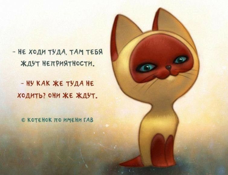 не ходи ТУДА тм ТЕБЯ ЖДУТ НЕПРИЯТНОСТИ НУ КАК ЖЕ ТУДА НЕ ХОДИТЬ ОНИ ЖЕ ЖДУТ КБТЕМ ПЗ МС ГАВ