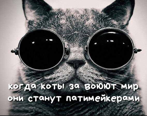 сёёнут петимеЙКерч