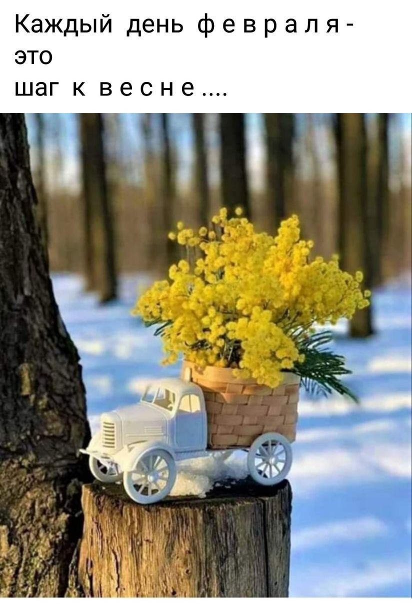 Каждый день февраля это шаг к весне