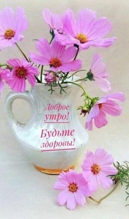 гтро 1_ ьтс шы ____