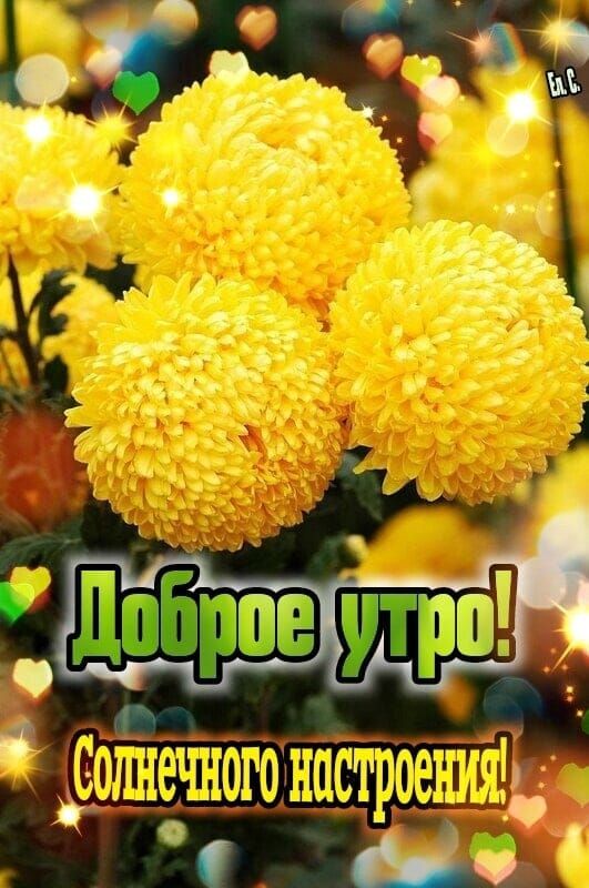 __ _ 11 этъюгшт г 1