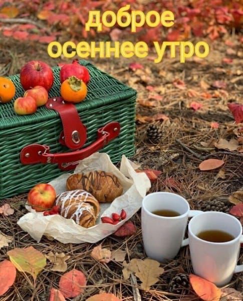 _ в г 365330 Ад 75