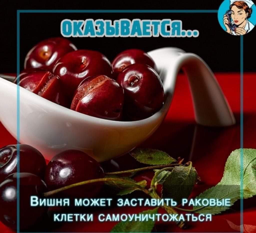 клетки сшоирМтбштвдЁ