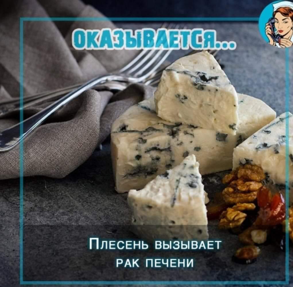 ПЛЕСЕНЬ ВЫЗЫВАЕТ РАК ПЕЧЕНИ