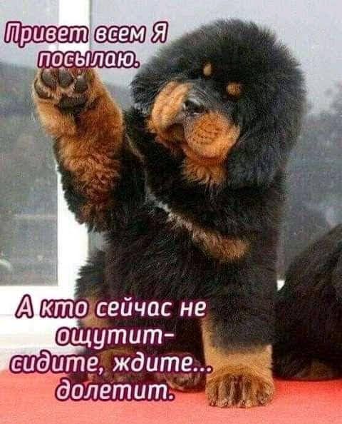А ктосейчас не ощутит