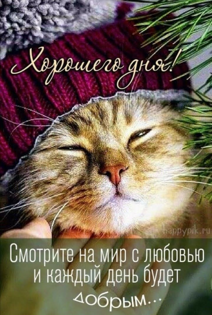 Смотрите начмир любовью и каждш день будт 4Обрьмдг