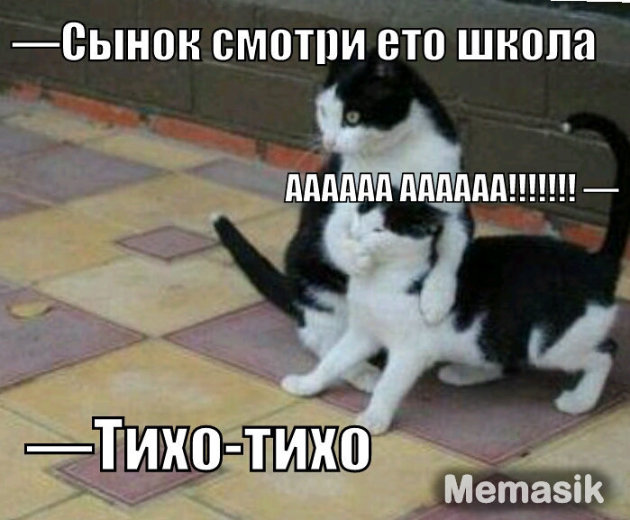 0ЬН0Н БМ0Т1И ВЮ школа