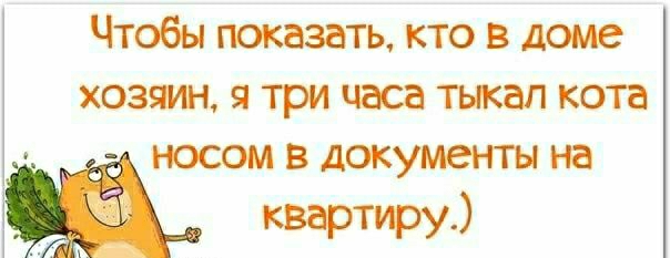 Чтобы показать кто в доме хозяин я три часа тыкап кота носом в документы на квартуру