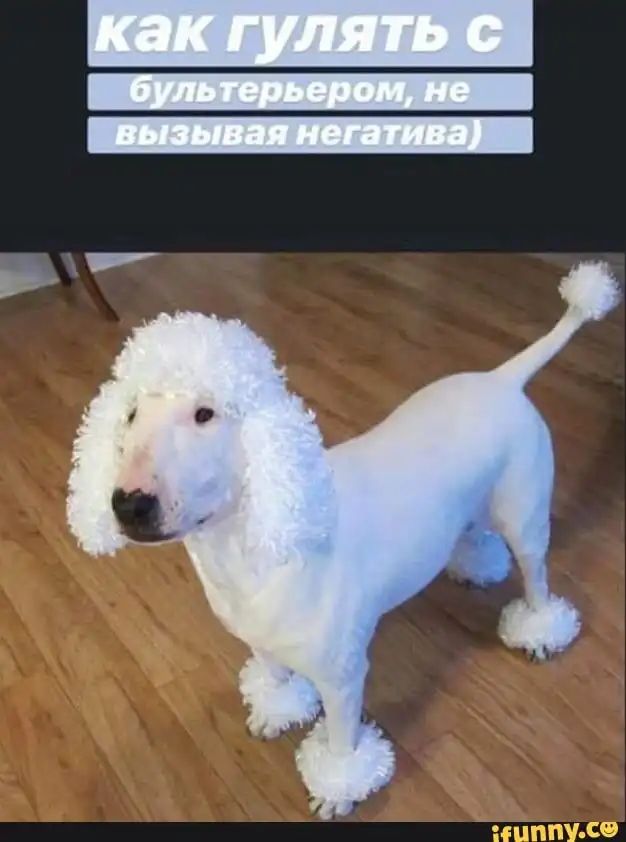 НЦППУ с