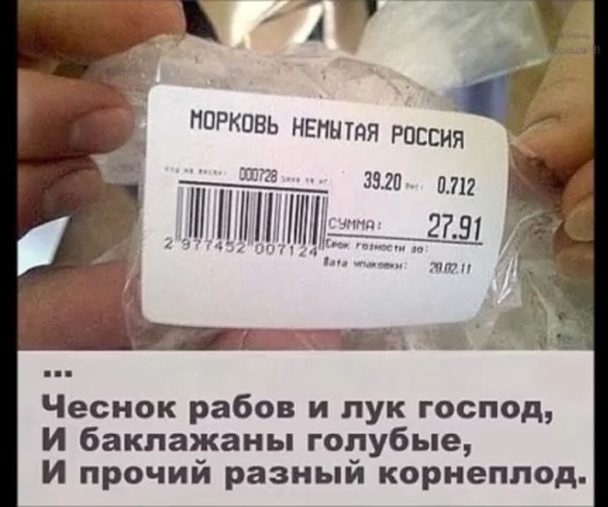 МОРКОВЬ НЕННТЯЯ РОССОЯ па 1 ишиййдиилшёё а 2 и Чеснок рабов и лук господ И баклажаны голубые И прочий разный корнеплод