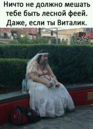 Ничто не должно мешать тебе быть лесной Феей Даже если ты Виталик __ _ _
