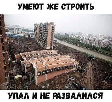 УМЕЮТ ЖЕ СТРОИТЬ уши и не змлся