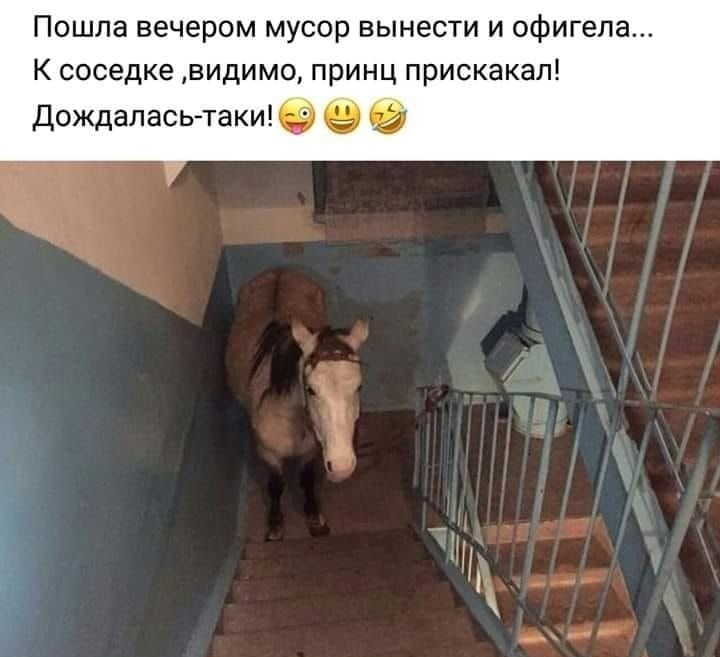 Пошла вечером мусор вынести и офигела К соседке видимо принц прискакал Дождаласьтаки