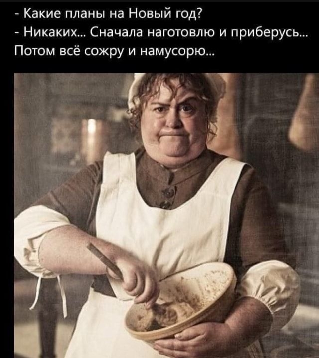 Какие планы на Новый год Никаких Сначала наготовлю и приберусь Потом всё сожру и намусорю