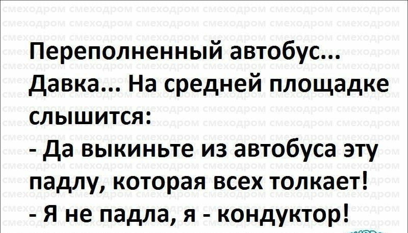 Переполненный автобус давка На средней площадке слышится да выкиньте из автобуса эту падлу которая всех толкает Я не падла я кондуктор