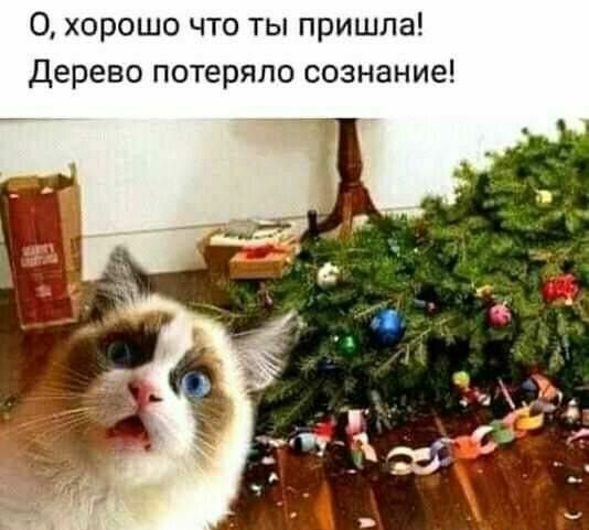 0 хорошо что ты пришла Дерево п теряло сознание