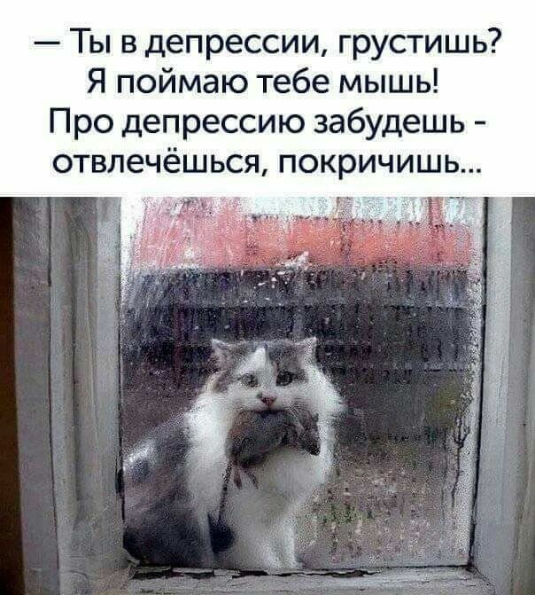 Ты в депрессии грустишь Я поймаю тебе мышь Про депрессию забудешь отвлечёшься покричишь