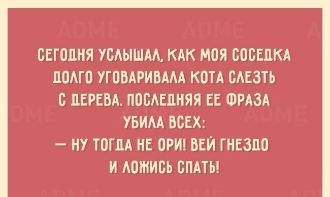 ОЕГОПНЯ УОАЫШАА КАК МОЯ ОООЕЦКА ПОАГО УГОВАРИОААА КОТА ОАЕЗТЬ О ДЕРЕВА ПООАЕПНЯЯ ЕЕ ФРАЗА УБИАА ВОЕХ НУ ТОГДА НЕ ОРИ ВЕЙ ГНЕЗЛО И АОШИОЬ СПАТЬ