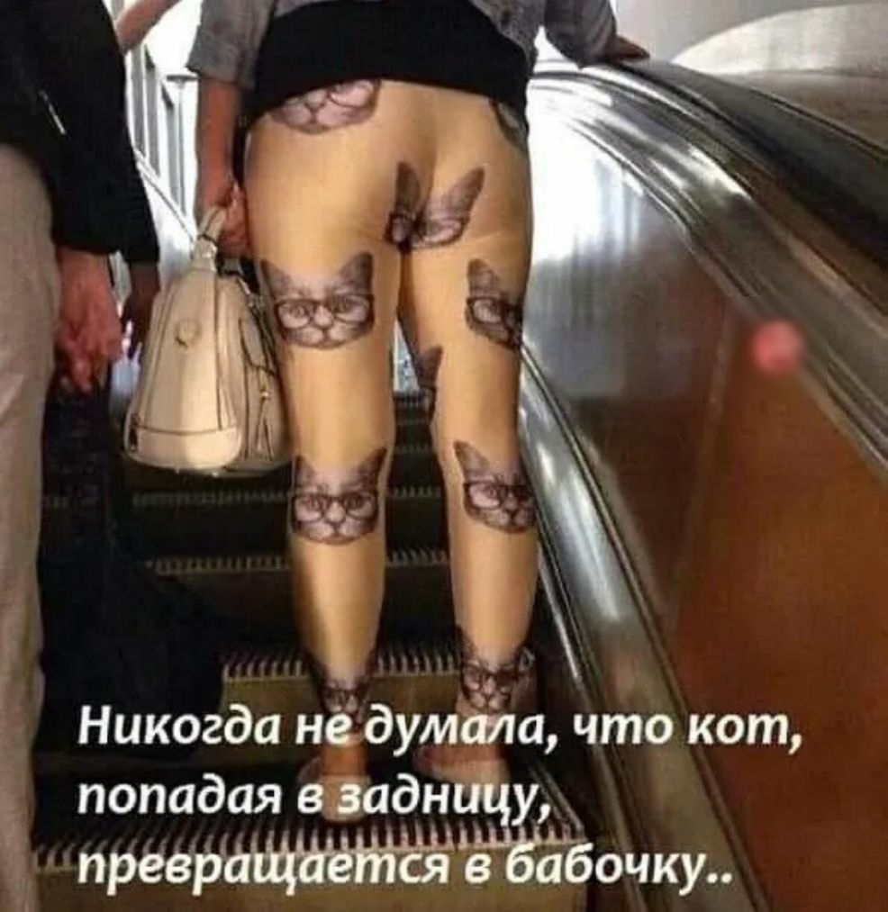 Никогда нё думала что кот попадая в Заднизё превр ббочку