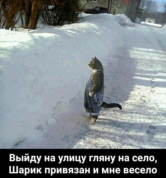 Выйду на улицу гляну на село Шарик привязан и мне весело