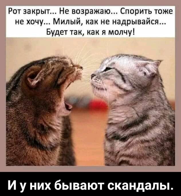 Рот закрыт Не возражаю Спорить тоже не хочу Милый как не надрывайся Будет так как я молчу И у них бывают скандалы