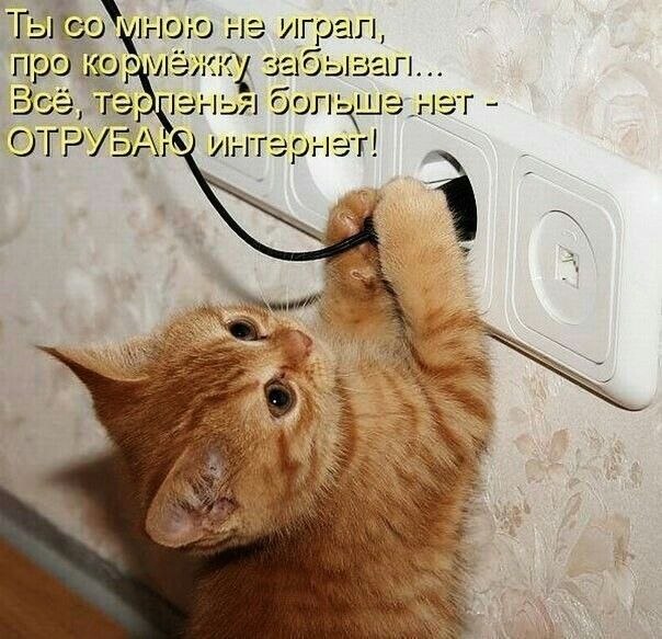 про дк шсд