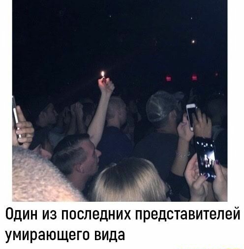 ОДИН ИЗ ПОСЛЕДНИХ ПРЕДСТЭВИТЭПЗЙ УМИРЗЮЩБГО ВИДЗ