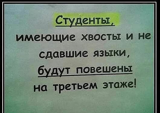 ЁТ ТЦ имеющие хвосты и не сдавшие языки бхдхт повешены на третьем этаже