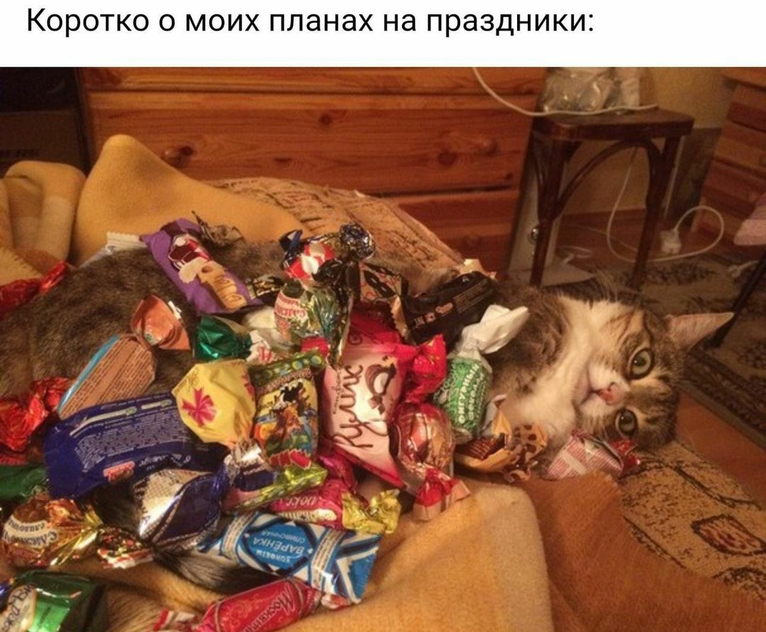 КОРОТКО 0 МОИХ ПЛЗНЭХ Нд ПРЗЗДНИКИЕ 4